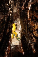 Thumbnail of photo from this article